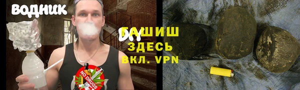 шишки Медногорск