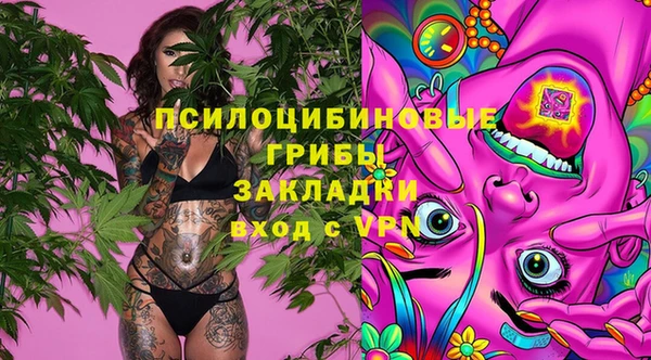 гашик Медвежьегорск