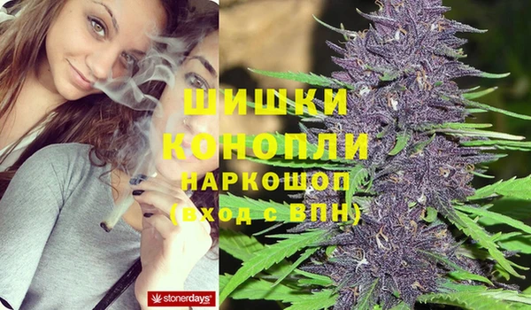 гашик Медвежьегорск