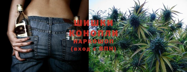 шишки Медногорск