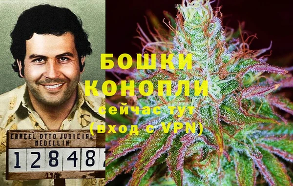 гашик Медвежьегорск