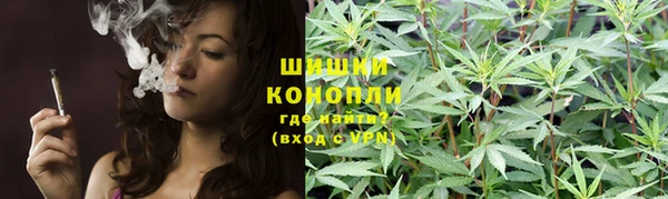 гашик Медвежьегорск