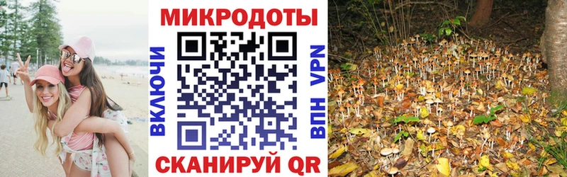 Галлюциногенные грибы мицелий  ОМГ ОМГ ONION  Ногинск 