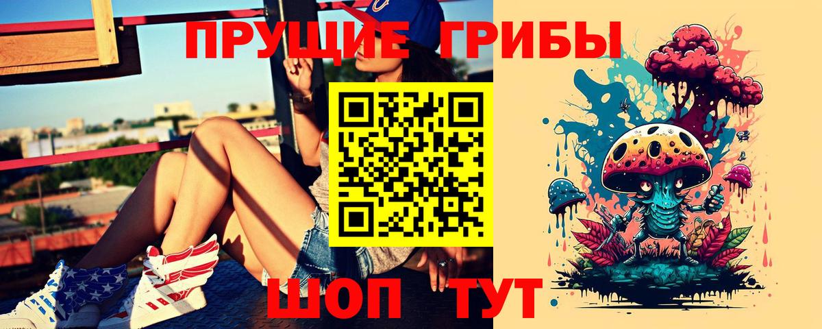 Галлюциногенные грибы Cubensis Ногинск