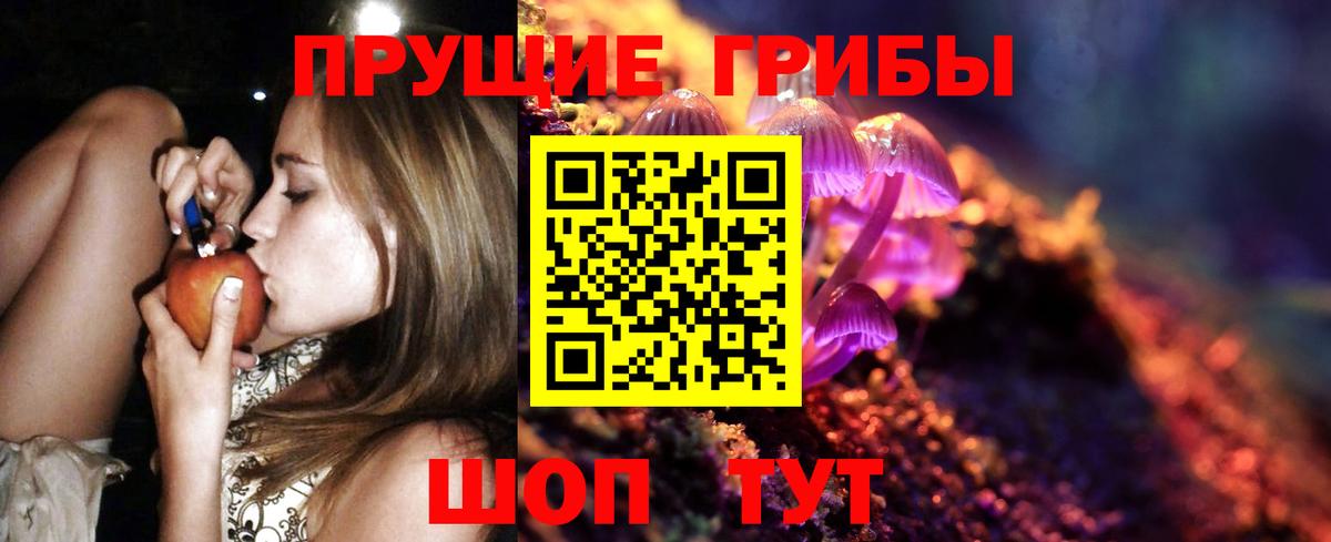 Галлюциногенные грибы Magic Shrooms  Вход с VPN  Ногинск 